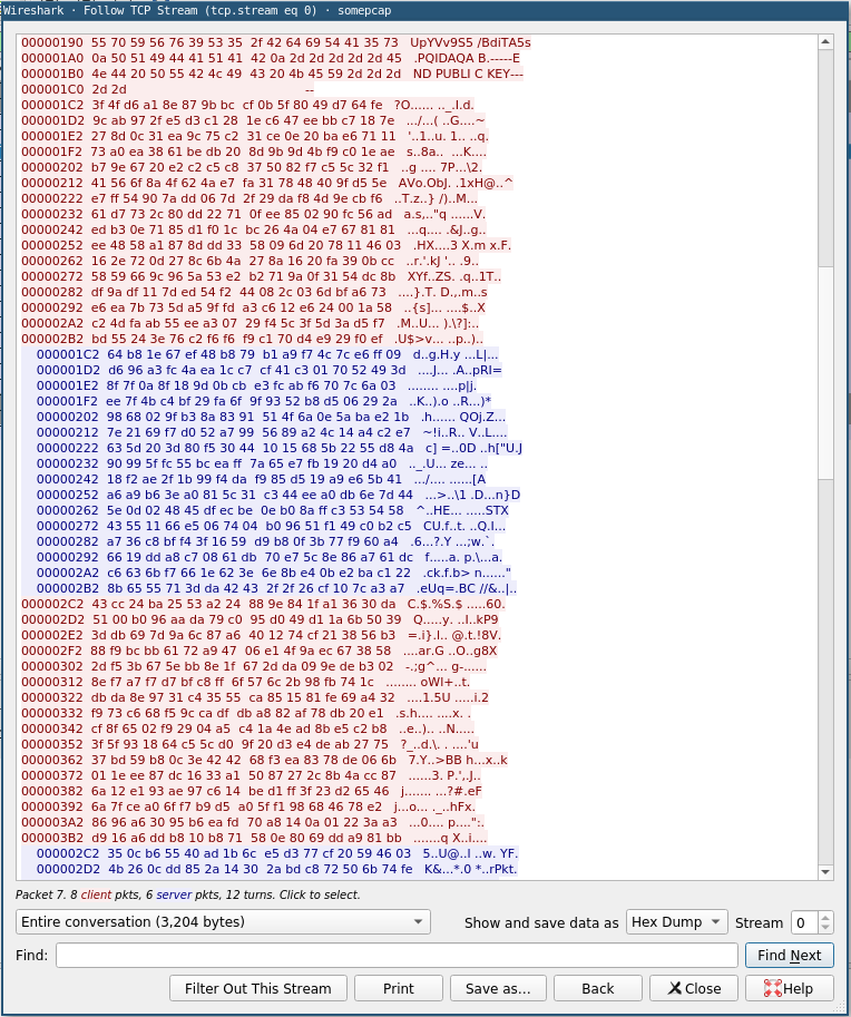 TCP conversation shown as a hex dump